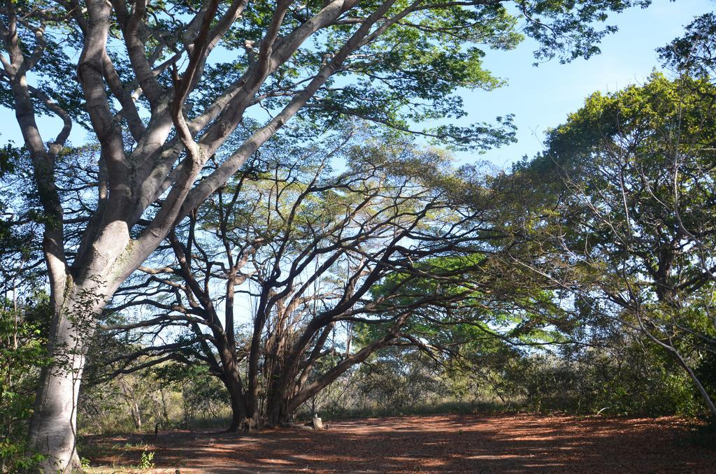 Pousada Terras Do Poente Vale do Capao Dış mekan fotoğraf